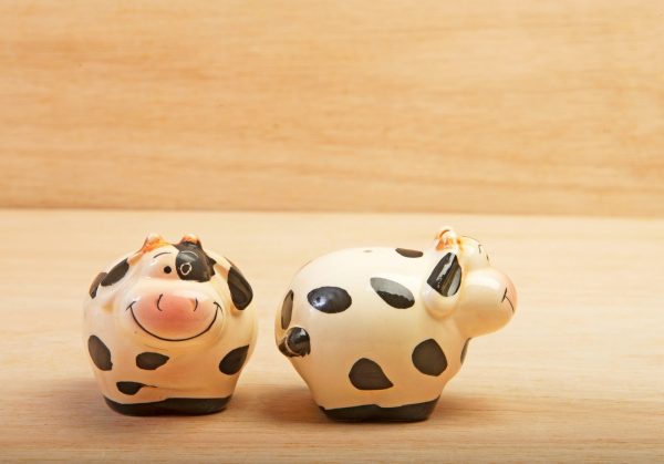 Round cow salt and pepper pots